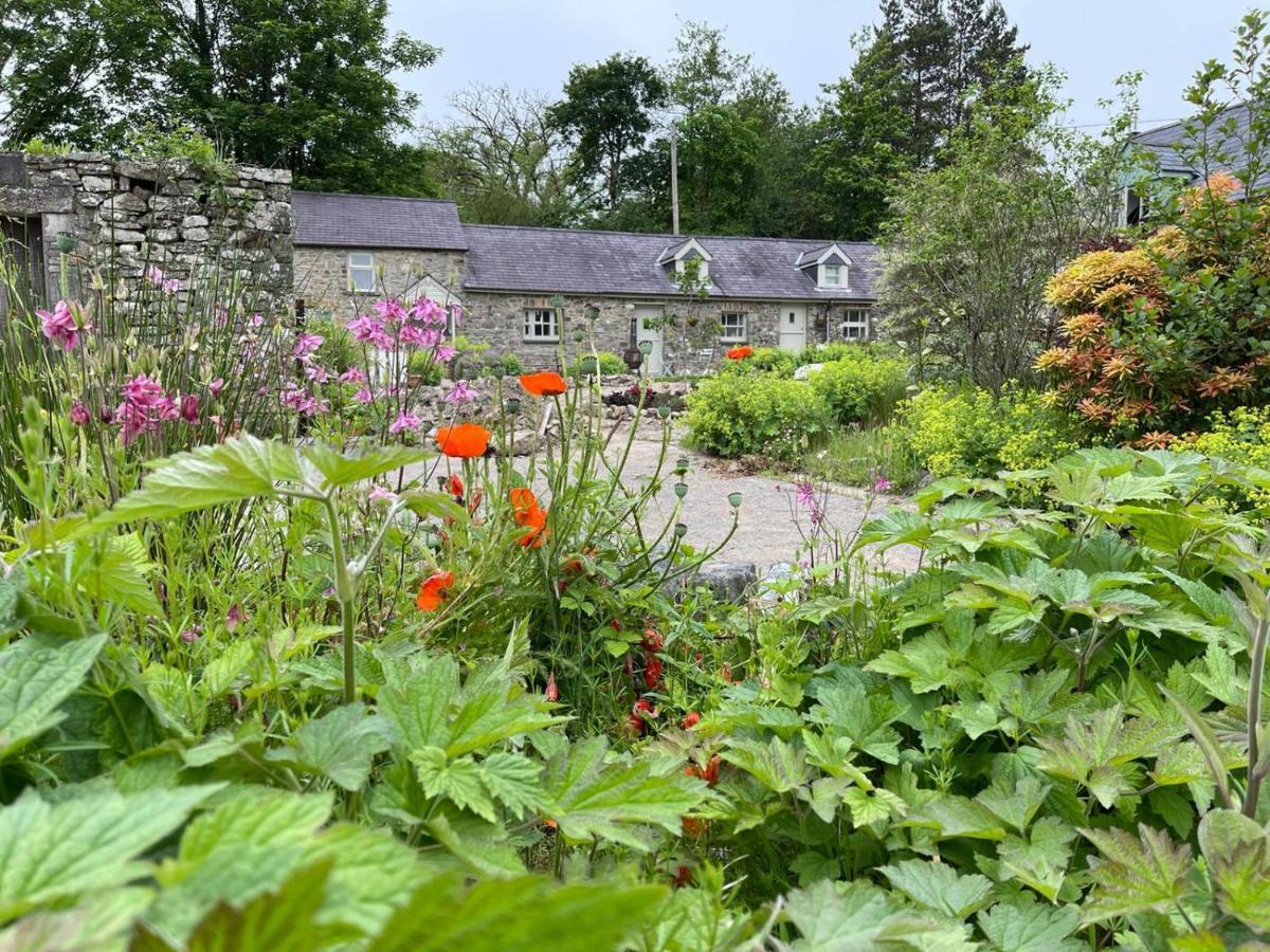 Crug Yr Eryr Isaf Villa Llandysul ภายนอก รูปภาพ